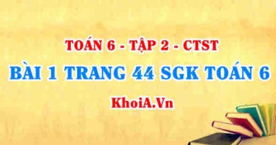 Bài 1 trang 44 SGK Toán 6 Tập 2 Chân trời sáng tạo